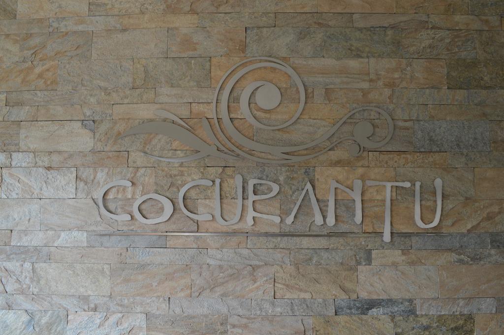 Cocurantu Hotel Boutique Пукон Экстерьер фото